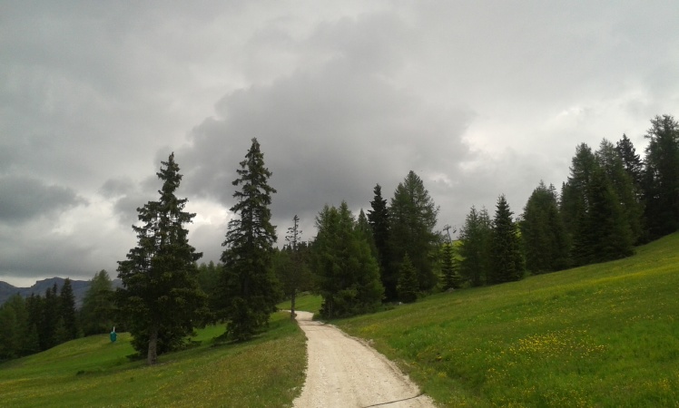 20140701_121210.jpg