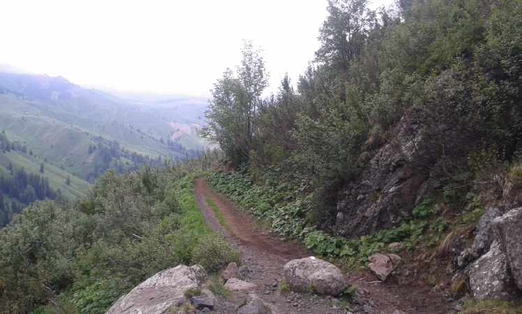 20140701_145822.jpg